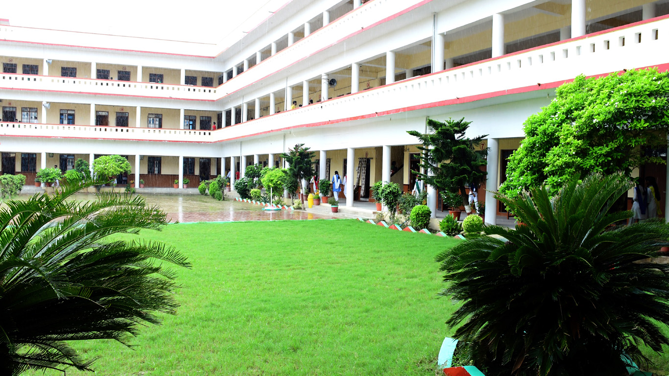 Examination Guidelines